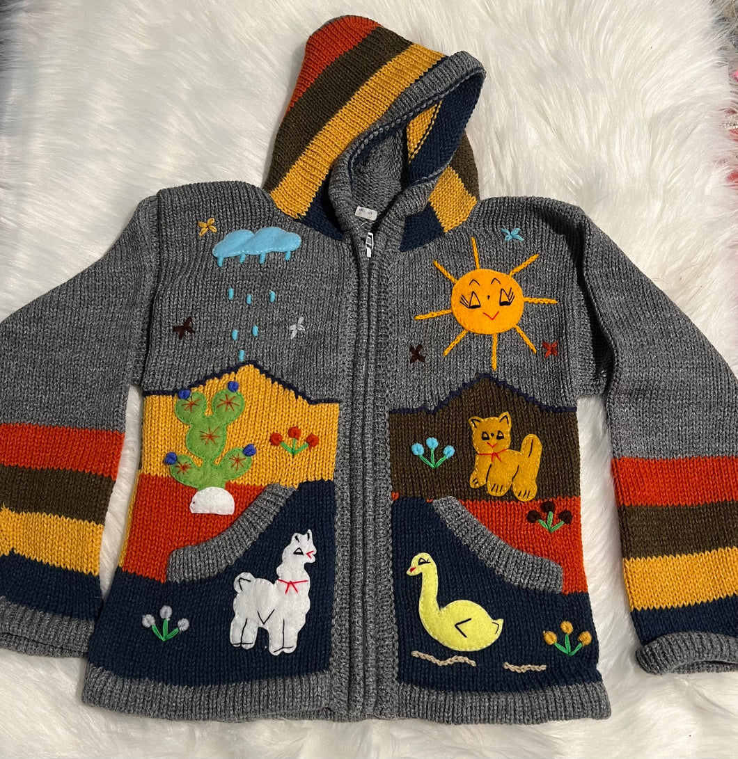 Sweater for boy